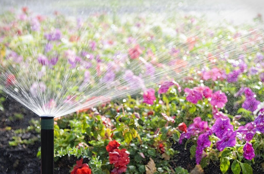 Step-by-Step Guide to Freeze-Proofing Your Irrigation System