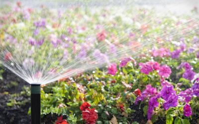 Step-by-Step Guide to Freeze-Proofing Your Irrigation System