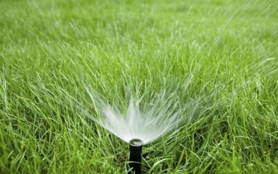 How Often Should You Inspect Your Sprinkler System? | Expert Guide