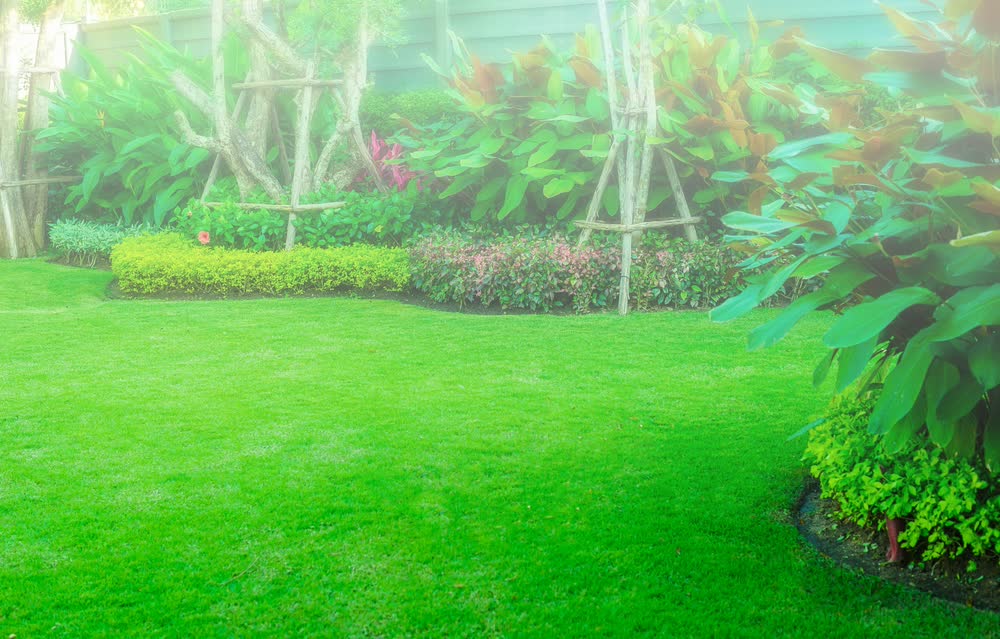 Fix It Fast with DIY Irrigation Repair Tips Every Homeowner Should Know