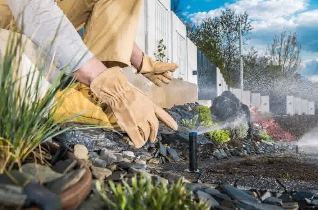 Common Irrigation Problems and How to Solve Them