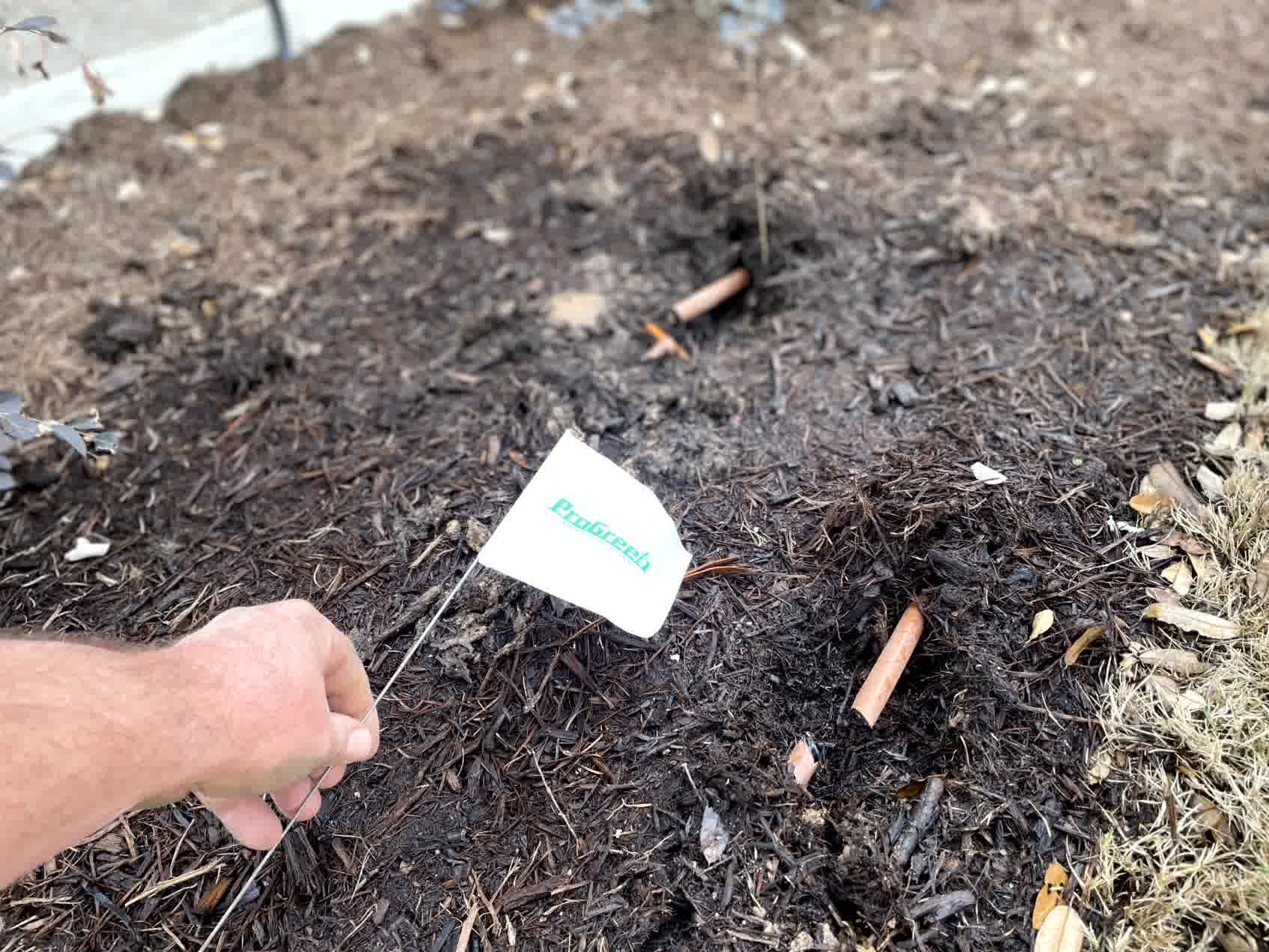 Exposed irrigation tubing marked with a white ProGreen utility flag in mulch bed, showing identified underground lines during repair.