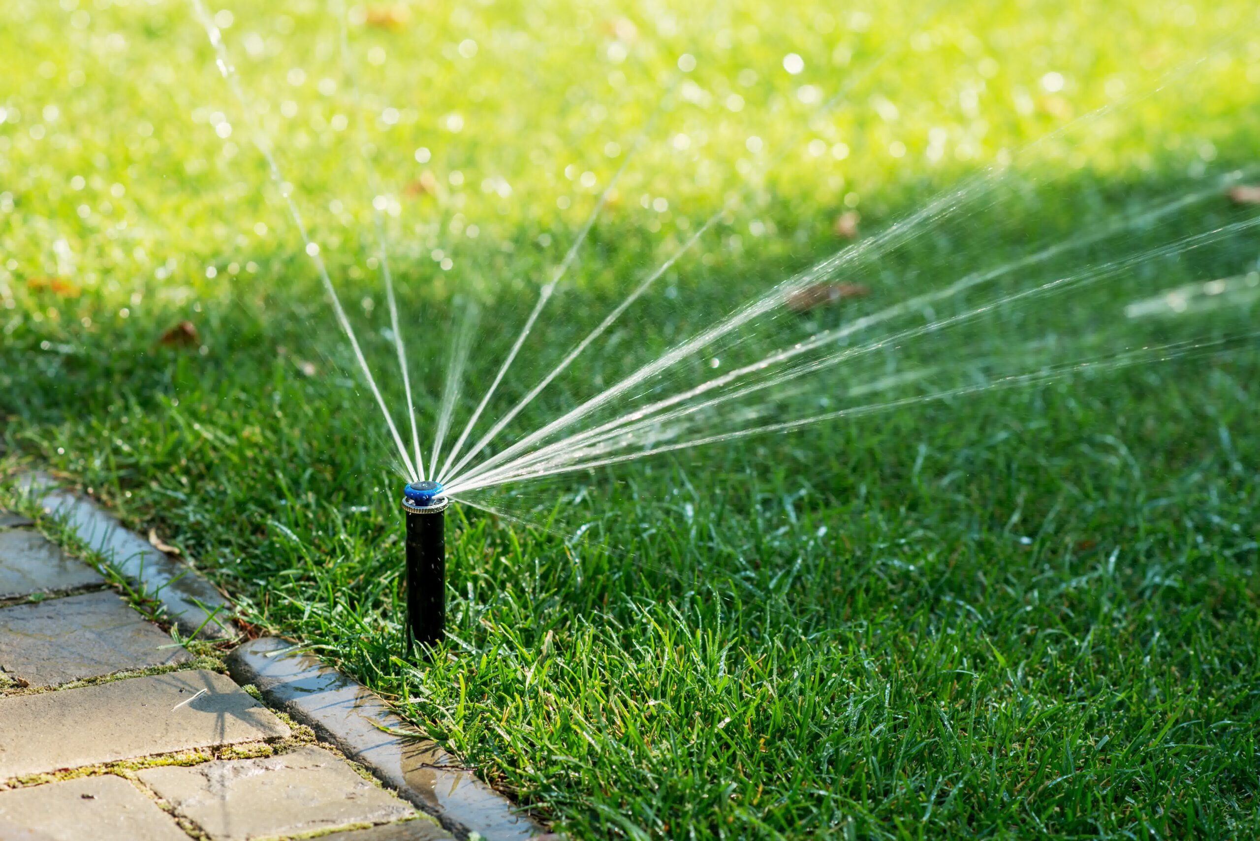 Pop-up lawn sprinkler head watering green grass near a walkway, connected to an irrigation controller for efficient watering.