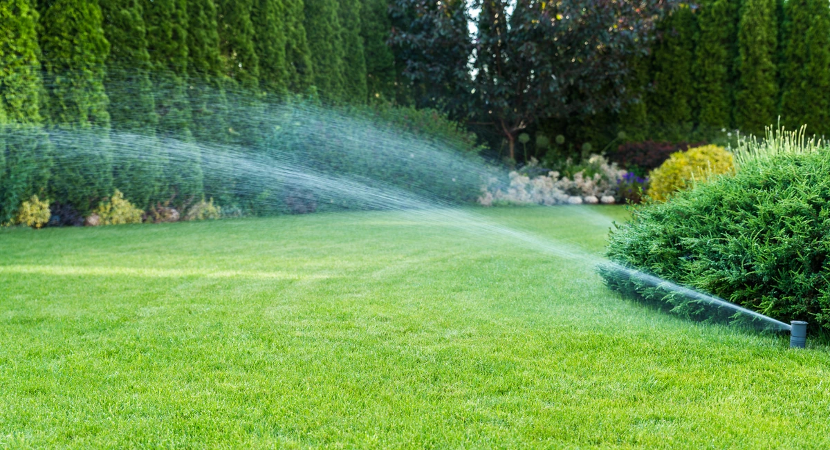 Hunter systems irrigation sprinkler spraying water across a green residential lawn with shrubbery in the background.

