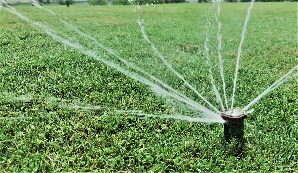 Sprinkler valve actively controlling multi-stream water output on a healthy residential lawn.
