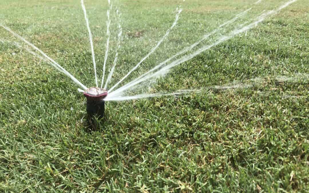 How to Detect and Prevent Sprinkler Leaks