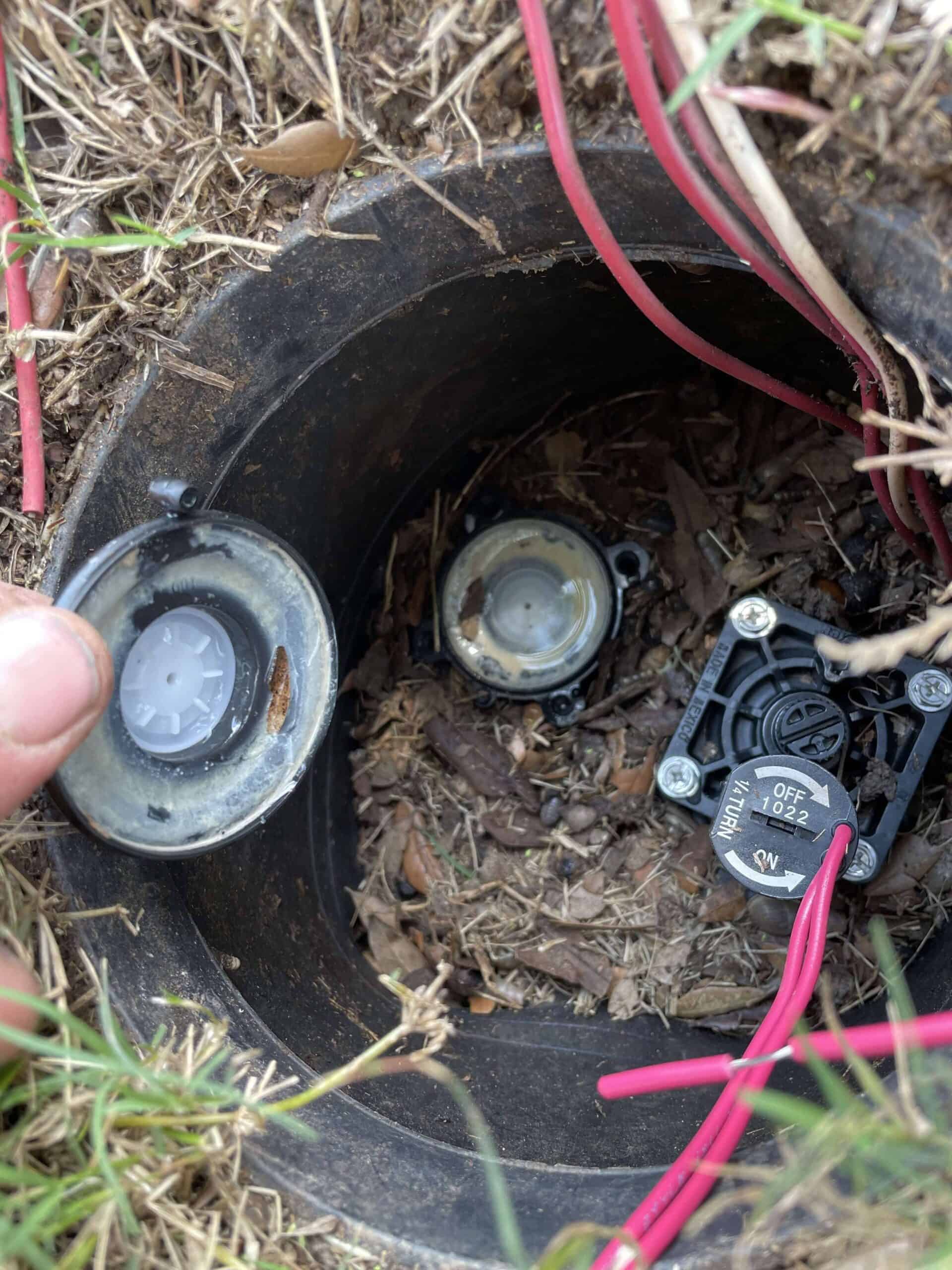 Schedule an inspection to ensure proper irrigation functioning and design