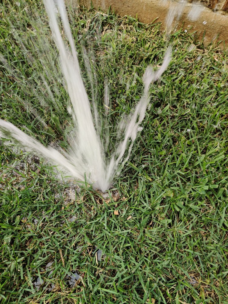 Schedule sprinkler inspection, maintenance, and repair for best results
