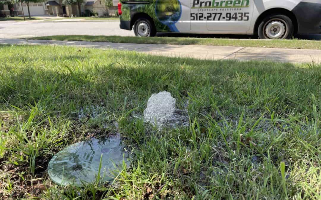 Water-Saving Irrigation Techniques for Houston Lawns