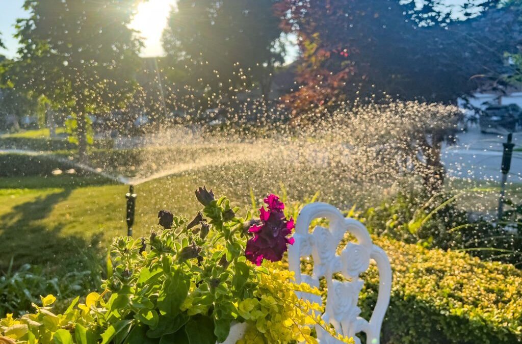 Does Installing a Sprinkler System Increase Your Home’s Value?