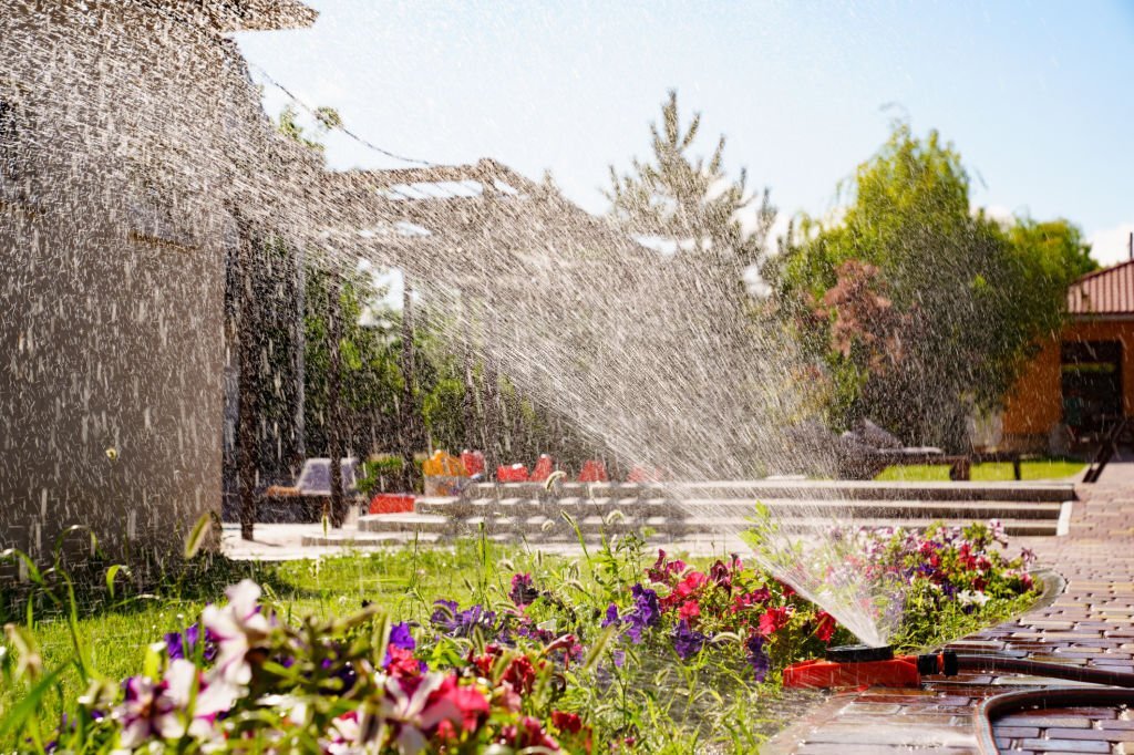 Your lawn will strive with a sprinkler system.

