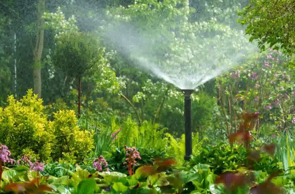 Are Sprinkler Systems Worth It? Achieve a Lush, Green Lawn