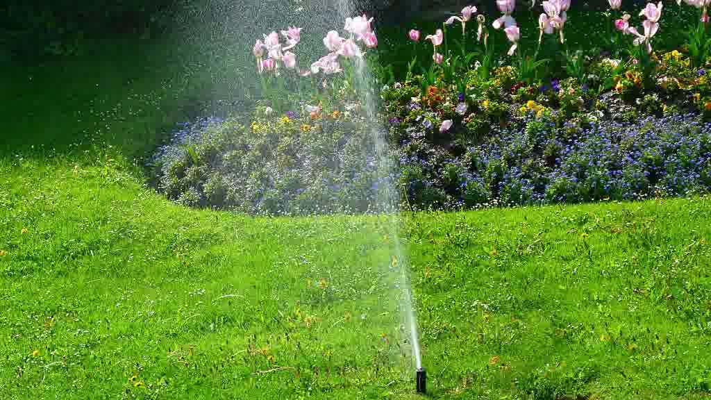 A sprinkler working properly to ensure full lawn coverage.

