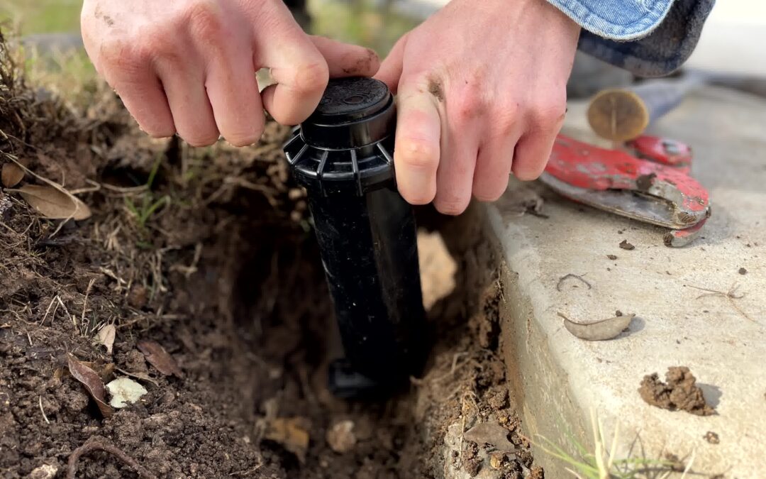 Why Getting Your Irrigation System Inspected Before Summer Is a Smart Move