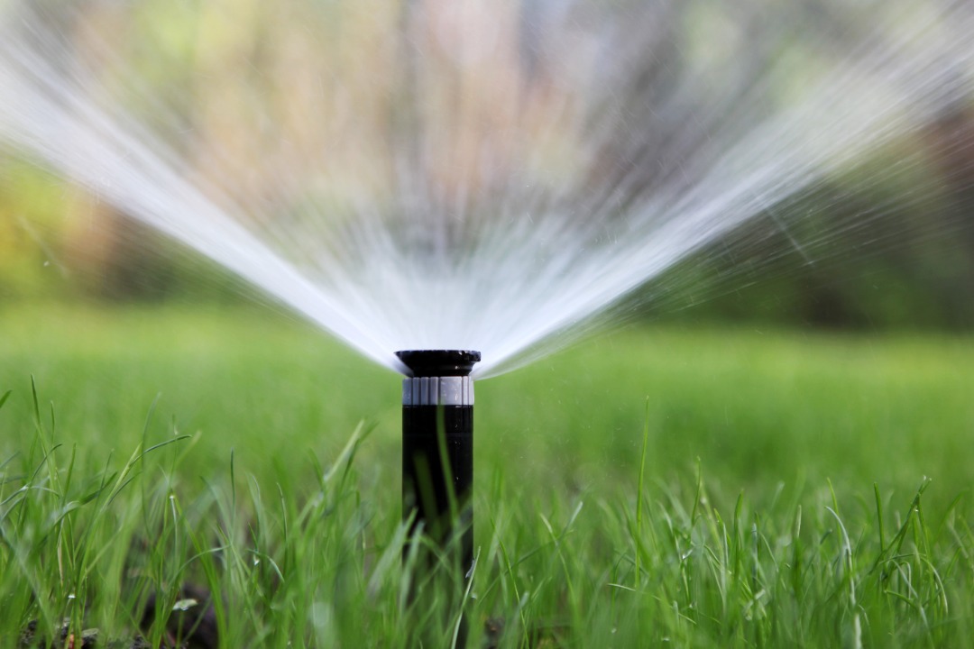 Your sprinkler system should be showering like this.
