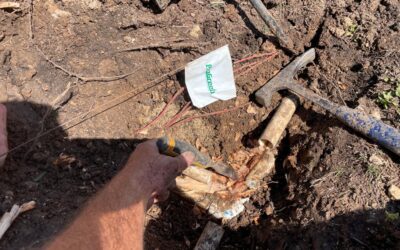 Why October is the Best Time to Schedule Irrigation Repairs