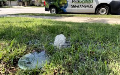 When to Call a Professional for an Irrigation Leak Detection