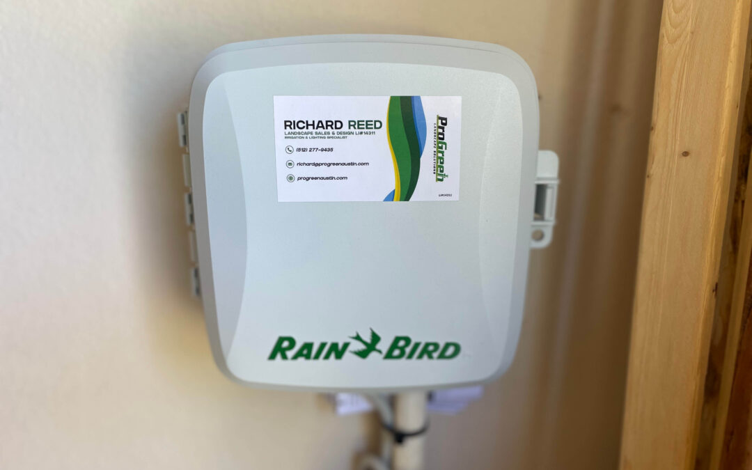 What is a Rain Bird System? | Key Things to Keep in Mind