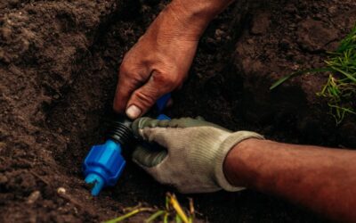 Find and Fix Irrigation Leaks Before They Drain Your Yard