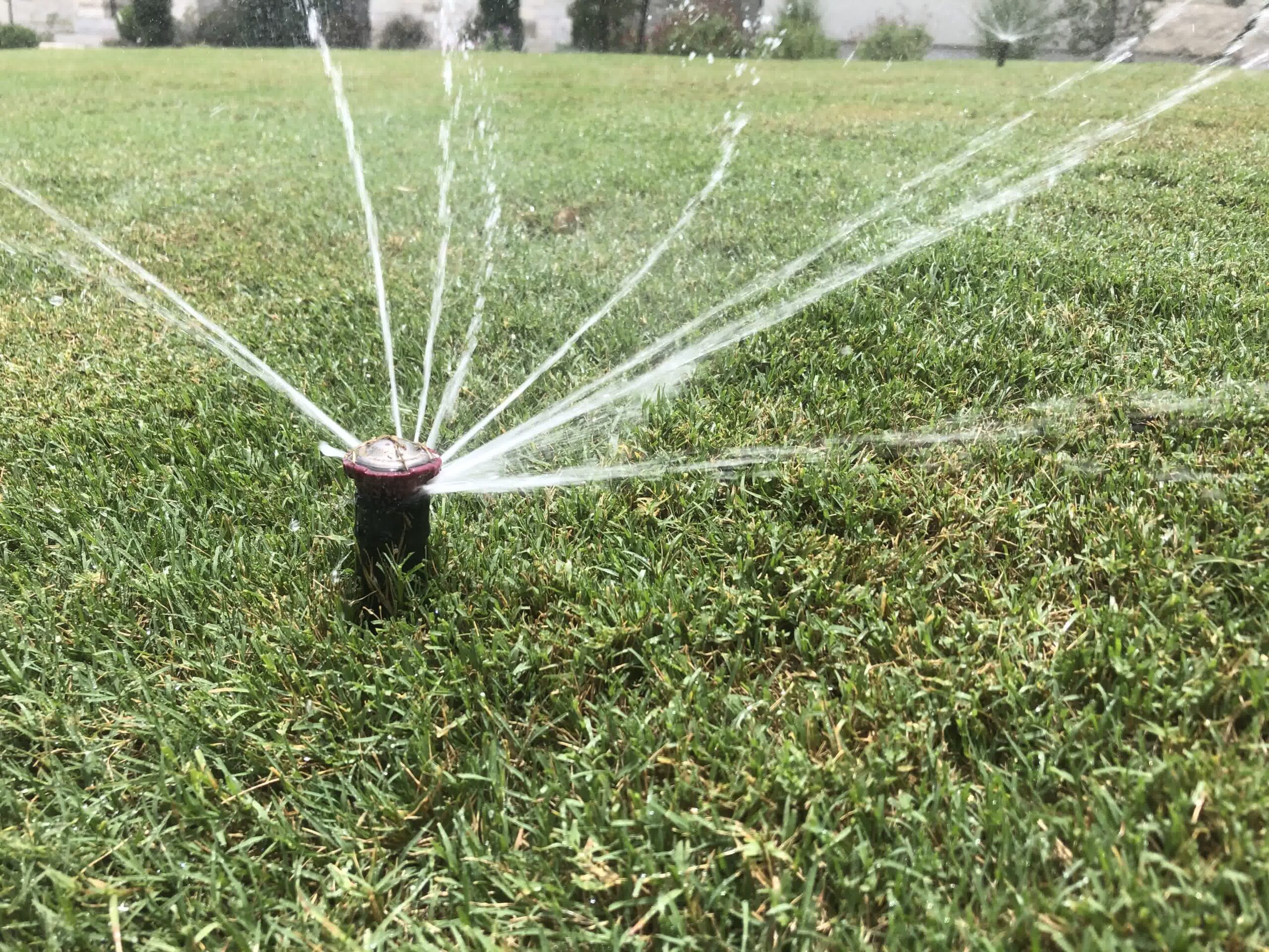 A sprinkler head watering a lush green lawn.