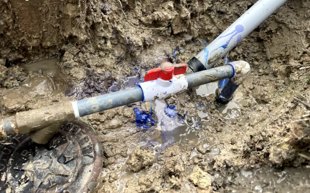 Find and Fix Irrigation Leaks Before They Drain Your Yard