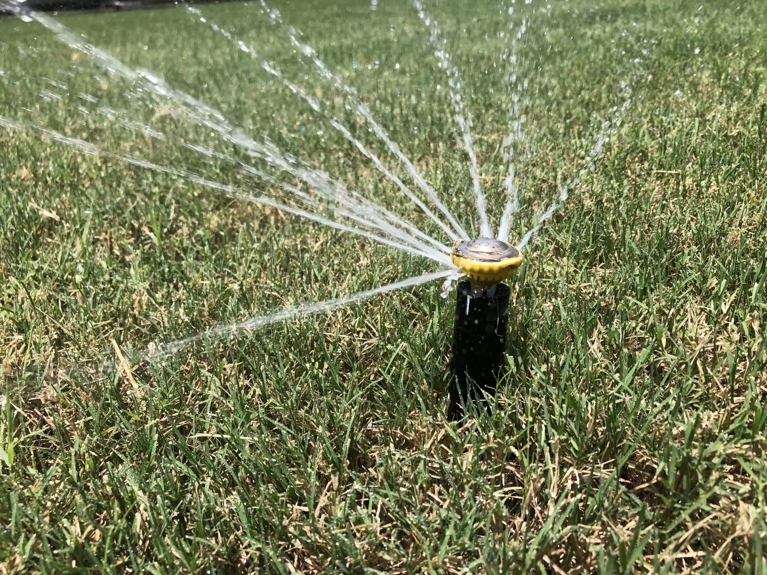A sprinkler showering a lush lawn.