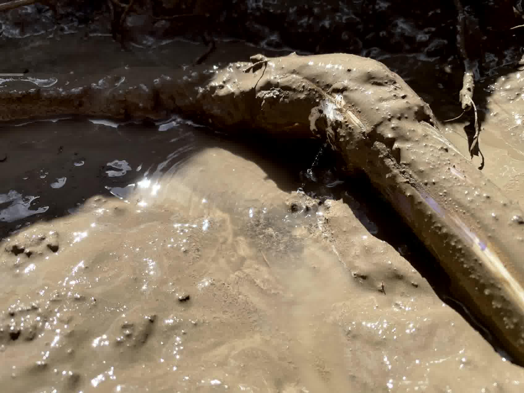 An irrigation pipe with a leak.