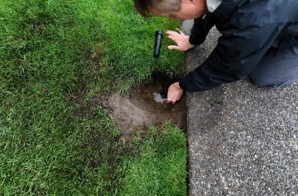 Catch It Before It Costs You: Houston’s Guide to Finding Irrigation Leaks