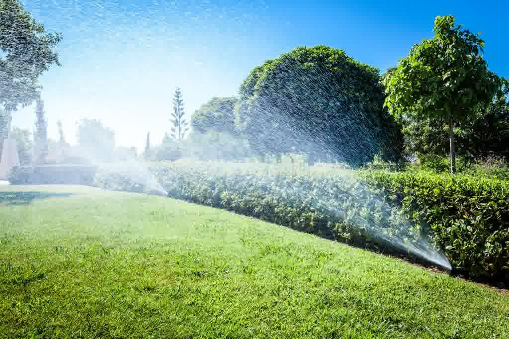 A lush green lawn with sprinklers showering the lawn.
