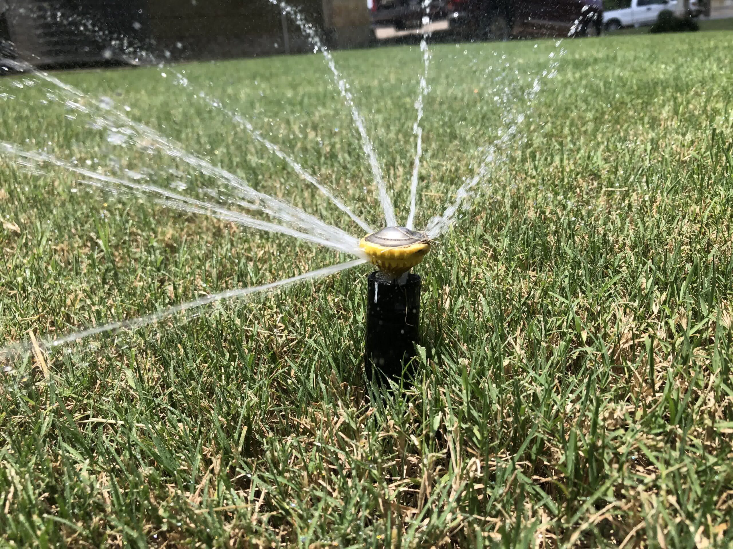 A bright yellow sprinkler spraying water evenly across a green residential lawn.