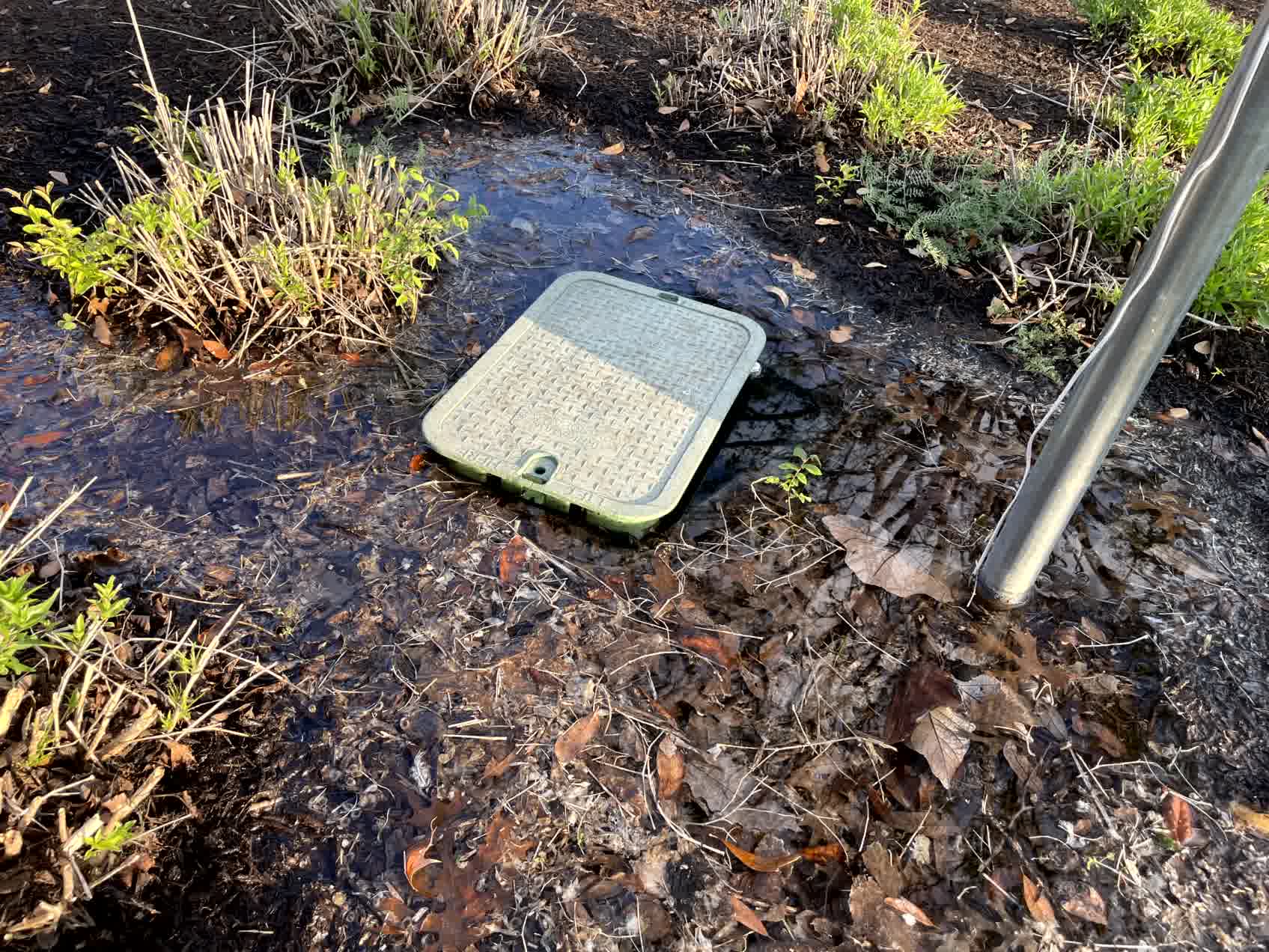 Water pooling around irrigation valve box in mulched garden bed, indicating drainage or irrigation leak near landscaping post.