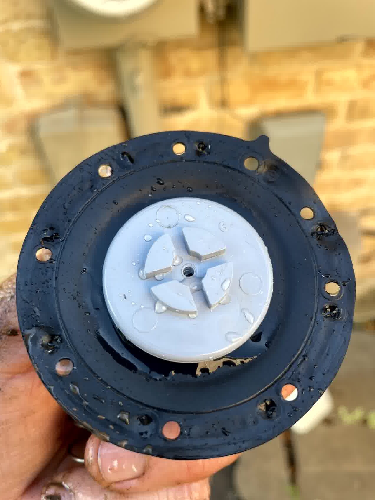 Close-up of a wet irrigation system valve diaphragm, showing wear and water droplets during sprinkler repair and maintenance.